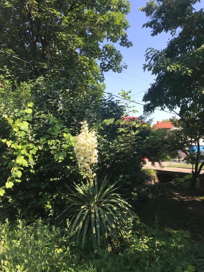 Ferienwohnung Broj Jedan Sokobanja Exterior foto