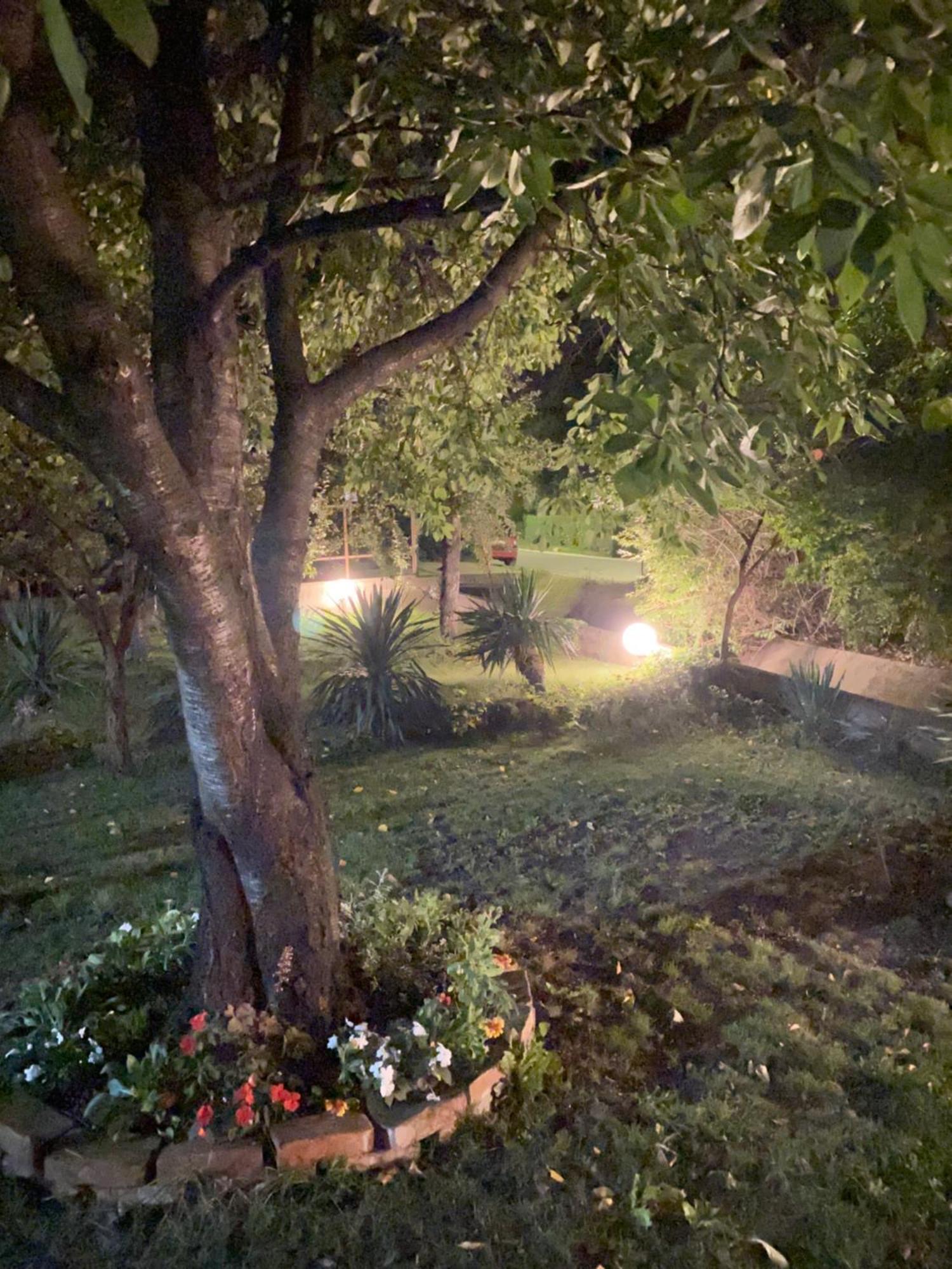 Ferienwohnung Broj Jedan Sokobanja Exterior foto